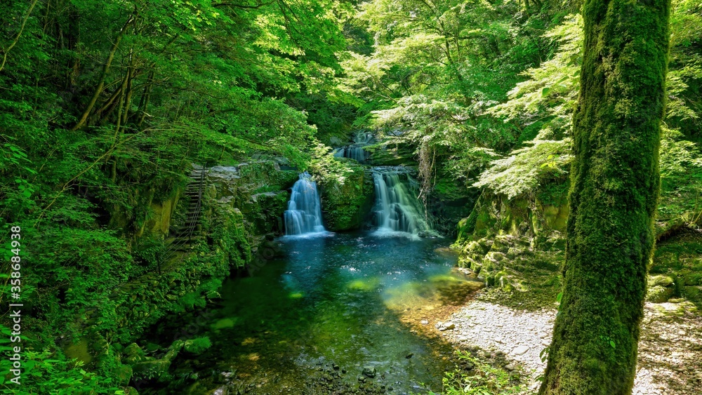 Obraz premium 赤目四十八滝 木漏れ日浴びて輝く新緑の荷担滝の情景＠三重