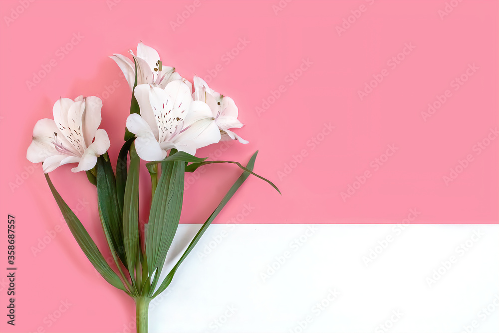 horizontal photo of a branch of white flowers with a sheet of paper on a pink background horizontal photo of a branch of white flowers with a sheet of paper on a pink background