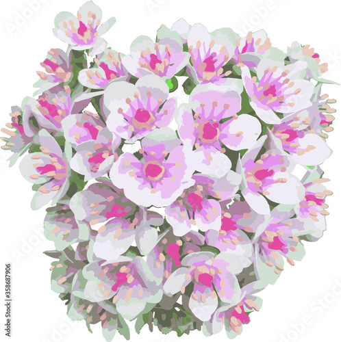 bunch of small flowers