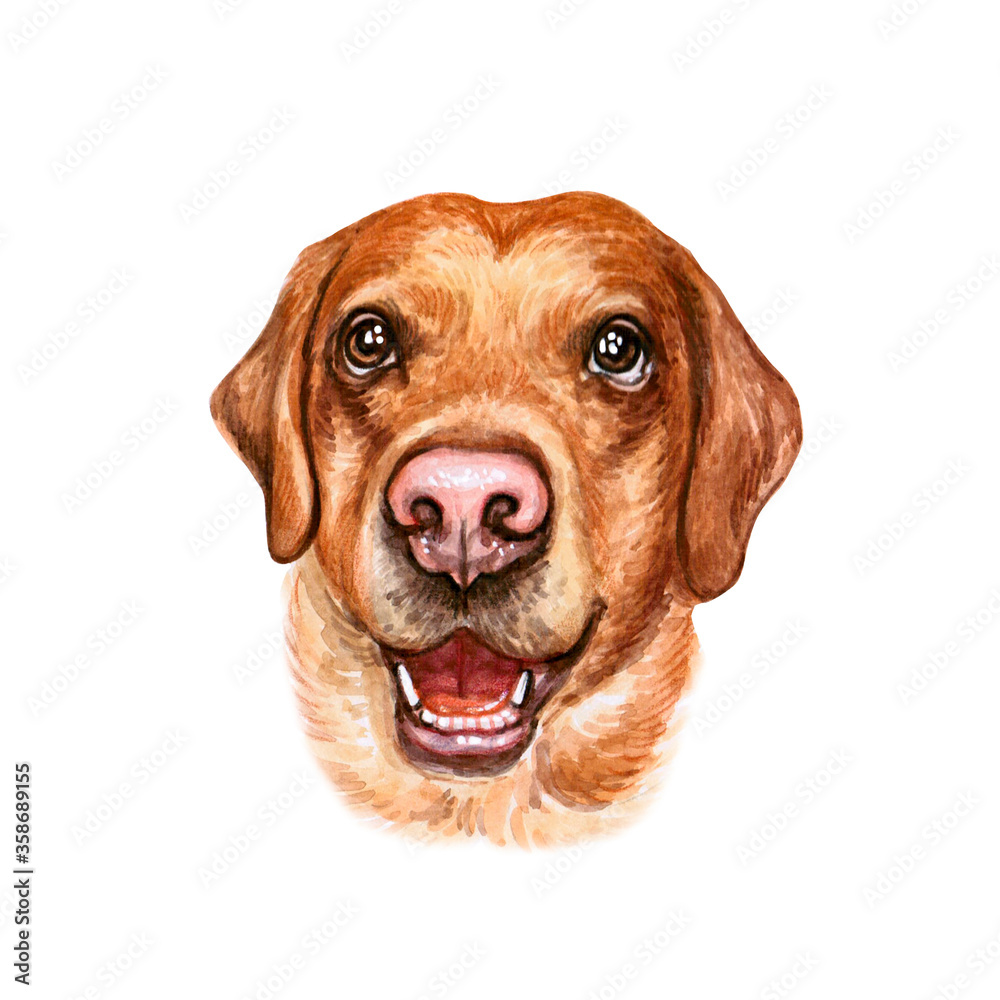 Watercolor illustration of a funny dog. Portrait cute dog isolated on white background. Popular breed dog. Labrador retriever