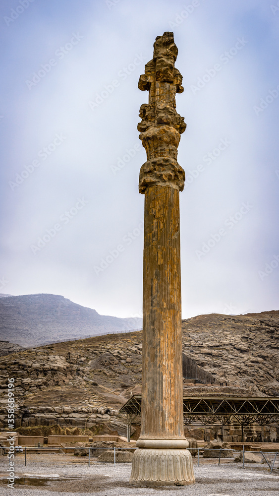 It's Ancient relief in Persepolis, the ceremonial capital of the Achaemenid Empire. UNESCO World Heritage