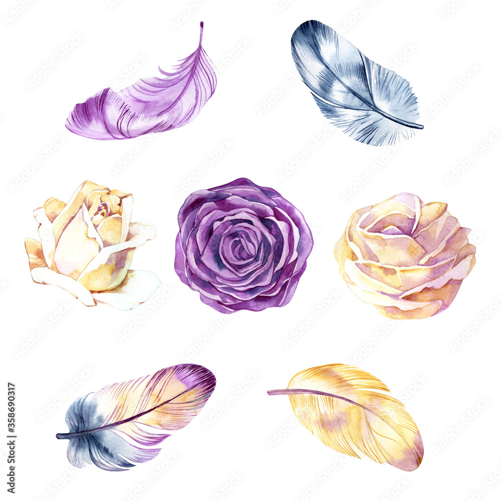 watercolor set with roses and feathers. Illustration isolated on white background. Vintage.