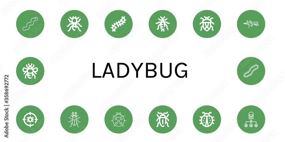 ladybug simple icons set ladybug simple icons set