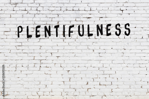 White wall with black paint inscription plentifulness on it photo