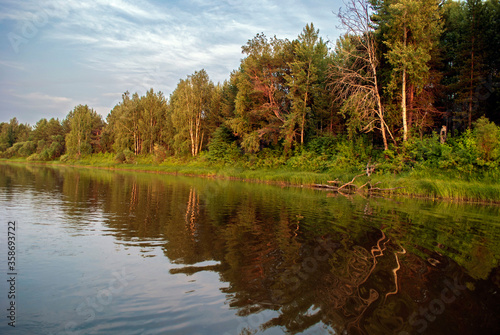 The forest is beautifully reflected in the river.