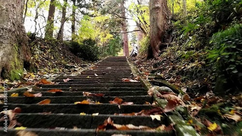 Camera moving low along old stone stairs with some autumnal leaves on it photo