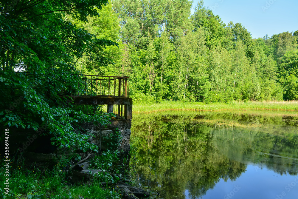 A hot summer day in the Nevsky Forest Park. A hot summer day in the Nevsky Forest Park.