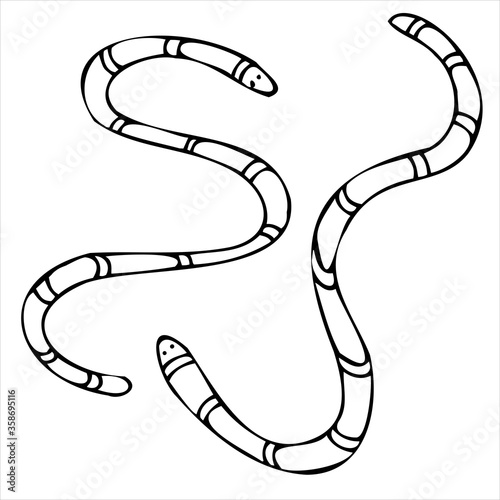 scary snakes or worms, vector doodle element for halloween celebration in doodle style, black outline