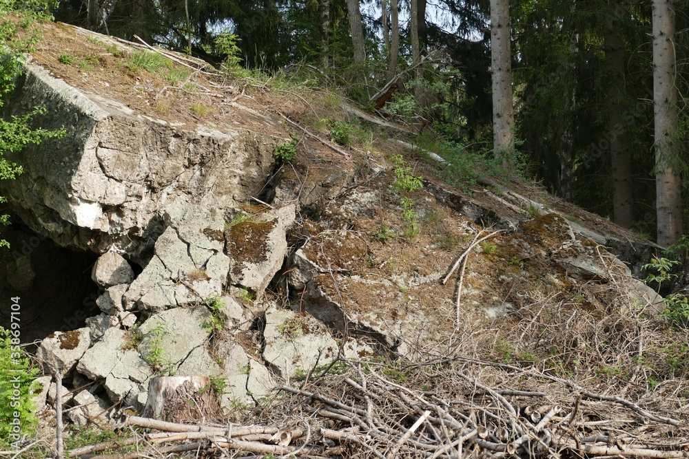 Ruinen eines alten Bunker aus dem 2.-Weltkrieg mit Bäumen im Wald bei Bad Münstereifel / Eifel Ruinen eines alten Bunker aus dem 2.-Weltkrieg mit Bäumen im Wald bei Bad Münstereifel / Eifel