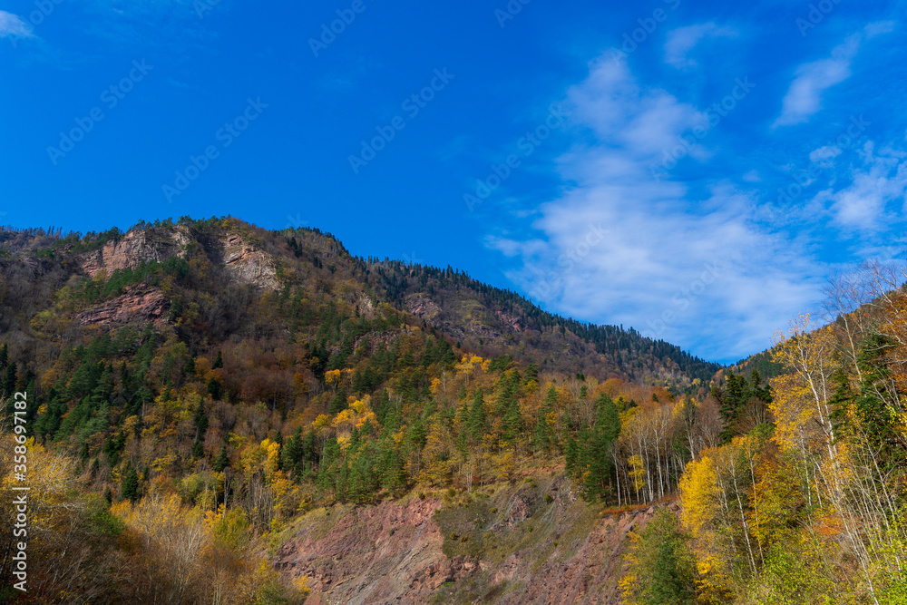 Autumn forest on the slopes of the mountains.