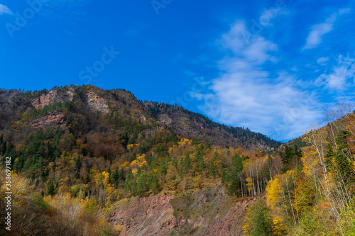 Autumn forest on the slopes of the mountains. © PhotoBetulo