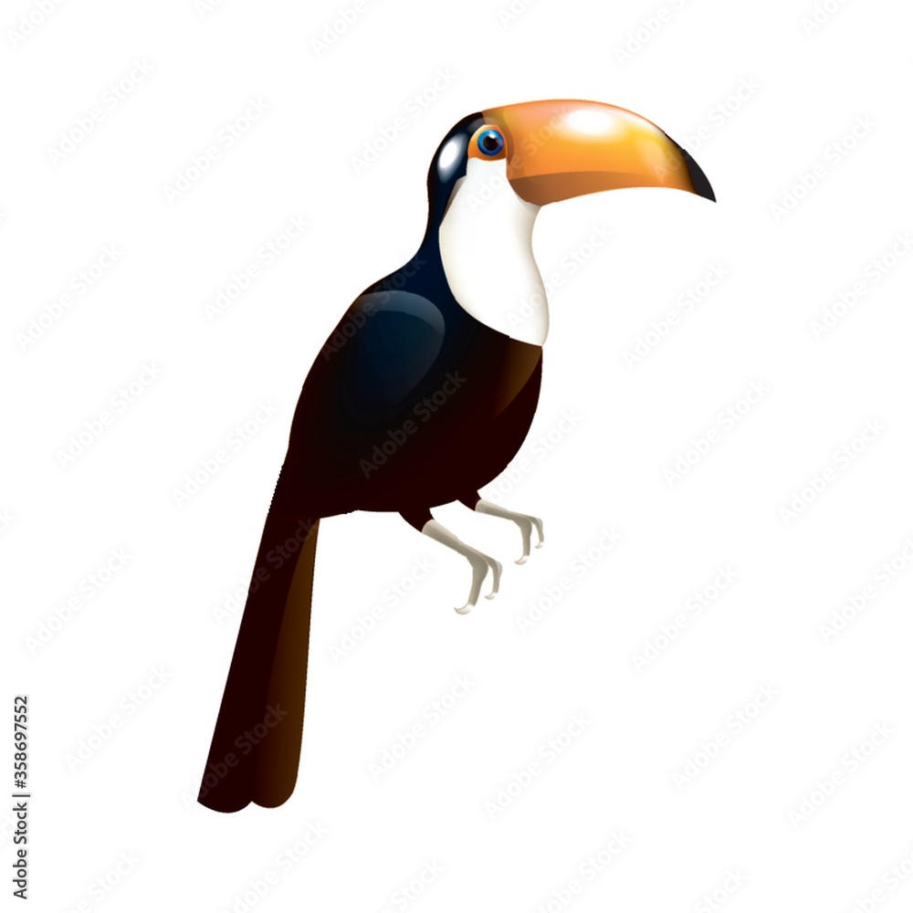 Obraz premium toco toucan