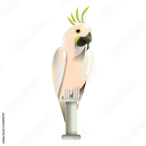 cockatoo