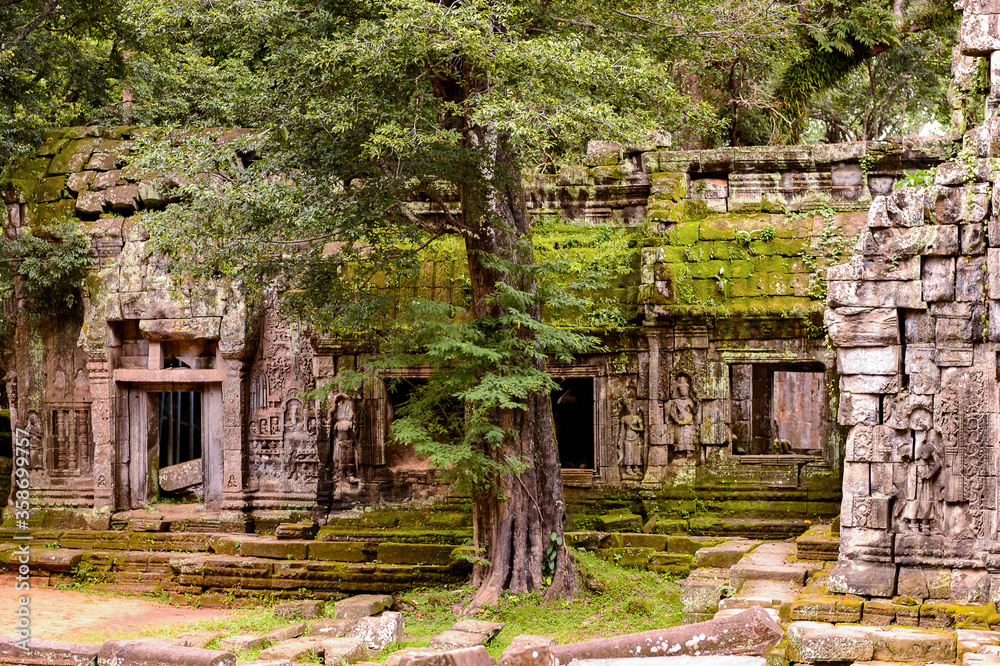 It's Part of the Ta Prohm (Rajavihara), a temple at Angkor, Province, Cambodia. It was founded by the Khmer King Jayavarman VII as a Mahayana Buddhist monastery and university.
