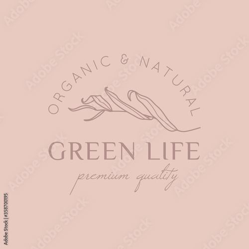 Willow branch with leaves logo design template in simple minimal linear style. Abstract Feminine Vector Signs