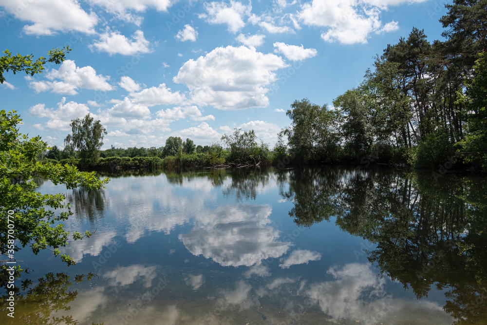 Reflection in the water blue sky with clouds with trees and plants Reflection in the water blue sky with clouds with trees and plants