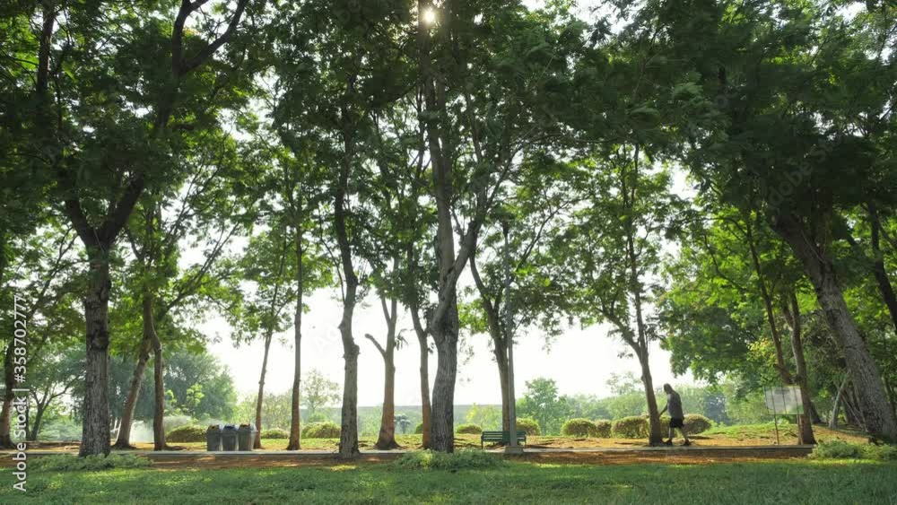Public park with green flesh tree, Family Activities,Nature background in Thailand,Walking and jogging in the park Public park with green flesh tree, Family Activities,Nature background in Thailand,Walking and jogging in the park