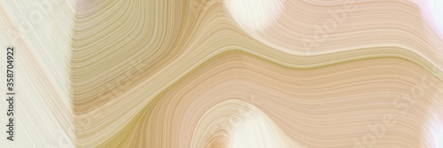 abstract artistic header with tan, pastel gray and beige colors. fluid curved lines with dynamic flowing waves and curves for poster or canvas