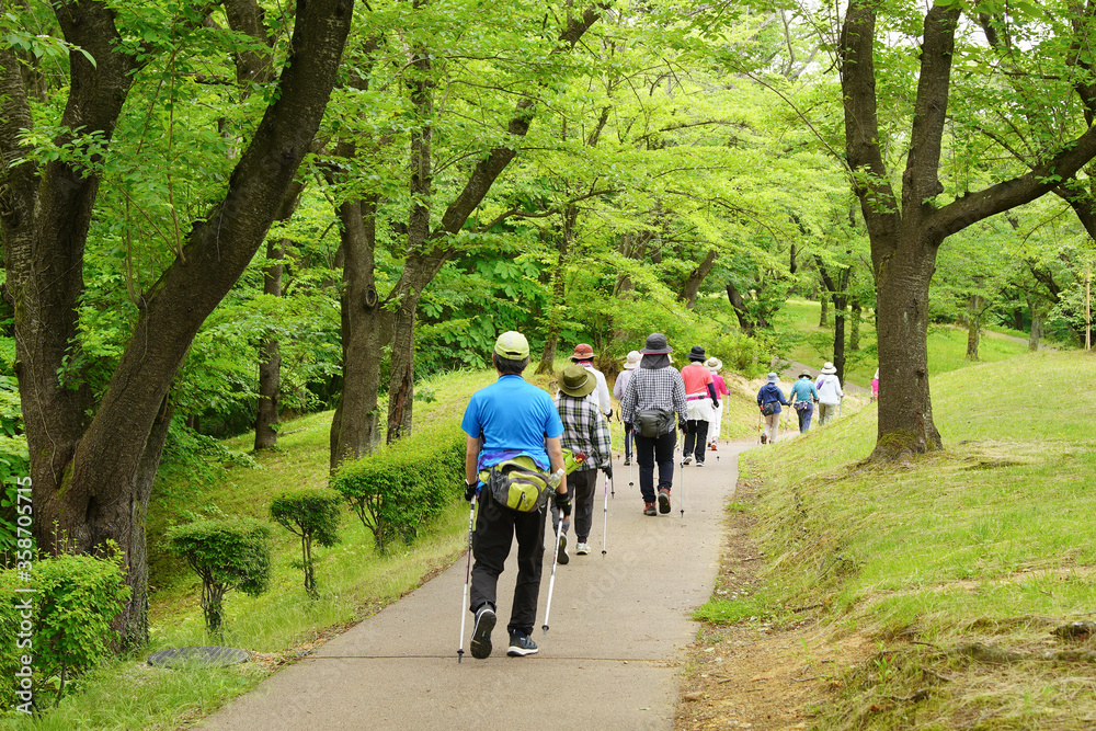 公園でウォーキングをする人々の後ろ姿