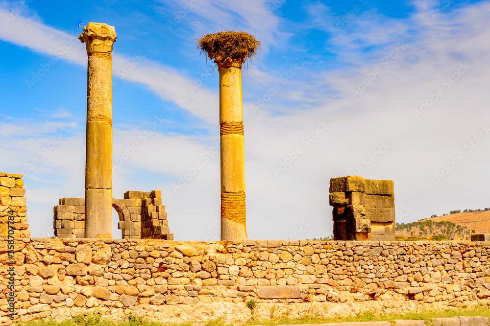 It's Ruins of Volubilis, an excavated Berber and Roman city in Morocco, ancient capital of the kingdom of Mauretania. UNESCO World Heritage