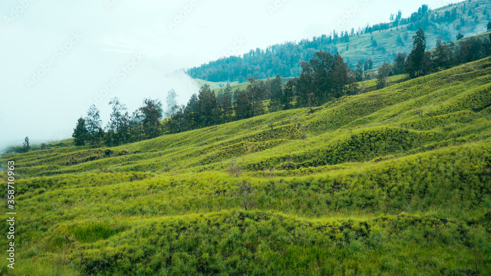 Mountain hill panoramic landscape at summer with green grass, and sky in Mount Tambora, Sumbawa, Indonesia