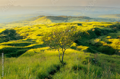 Mountain hill panoramic landscape at summer with green grass, and sky in Mount Tambora, Sumbawa, Indonesia