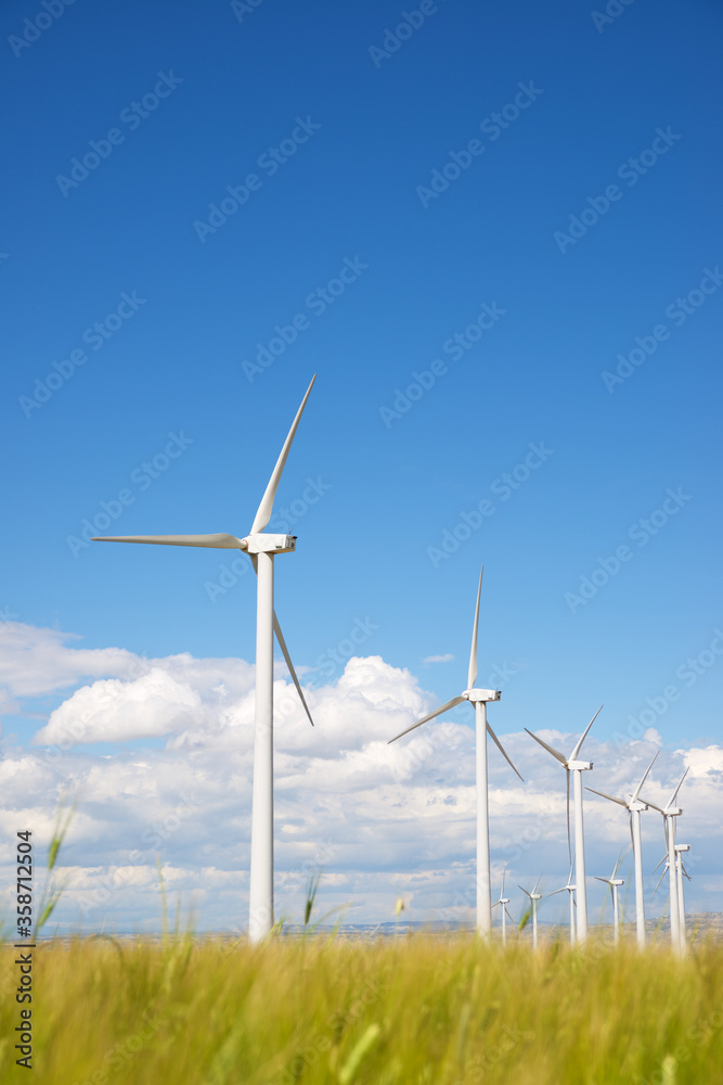 Renewable energy concept Renewable energy concept