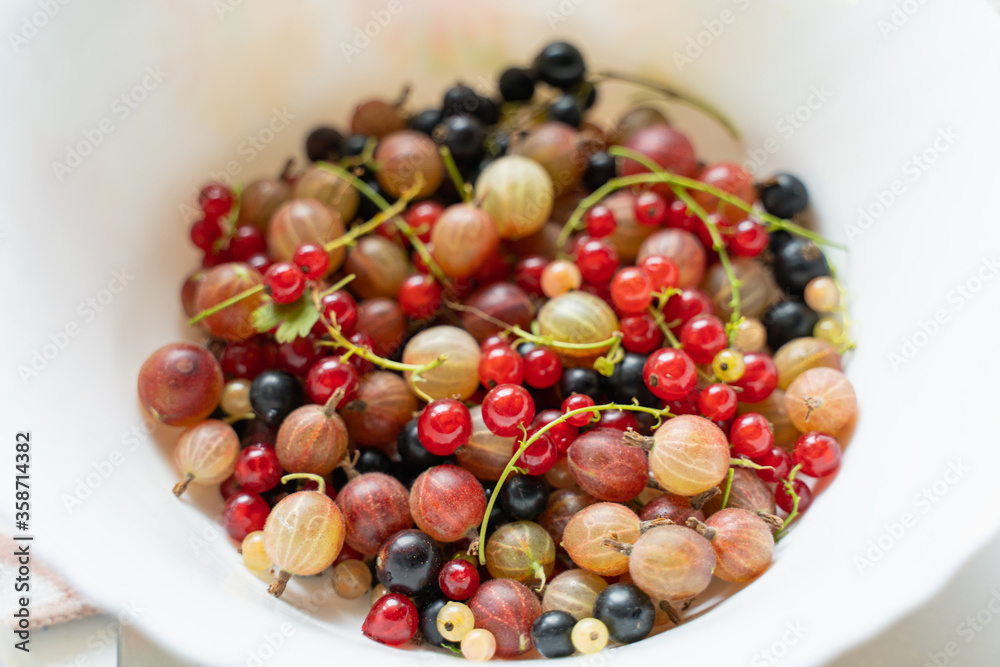 in the foreground black and red currant berries and gooseberries lie on a white plate in the foreground black and red currant berries and gooseberries lie on a white plate