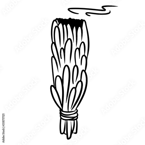 Sage stick hand drawn smudge doodle. Vector isolated cartoon white sage herb bundle image. Smoking cleansing magical wiccan indigenous item