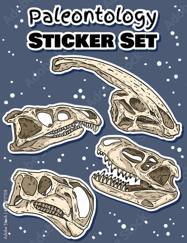 Sticker set with dinosaurs hand drawn skulls colorful doodles pack. Carnivorous and herbivorous fossils collection of labels. Vector stock image