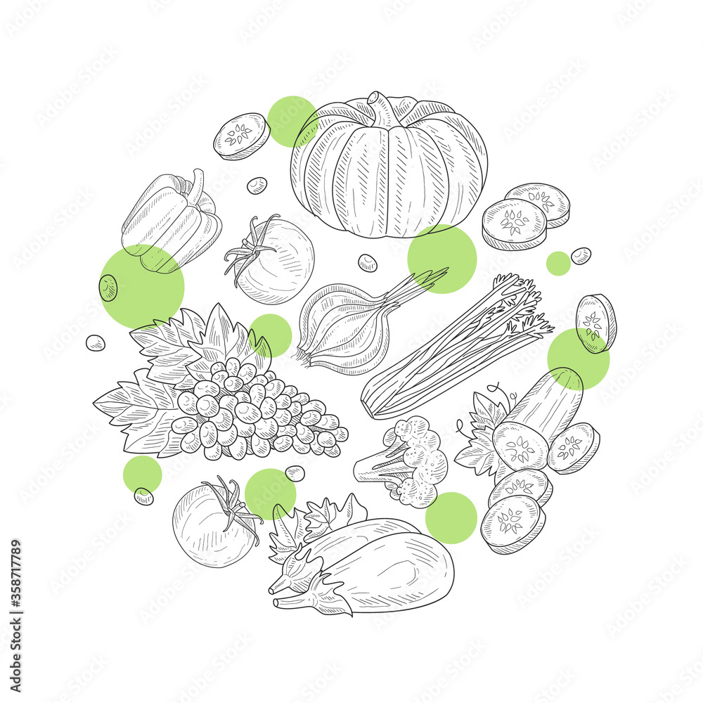 Fototapeta premium Natural Organic Healthy Products of Circular Shape, Green Farm Food Hand Drawn Vector Illustration