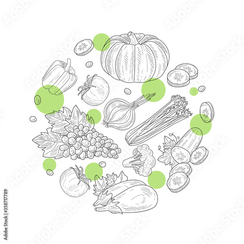 Fototapeta Naklejka Na Ścianę i Meble -  Natural Organic Healthy Products of Circular Shape, Green Farm Food Hand Drawn Vector Illustration