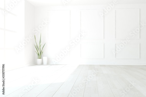 modern empty white room with plant in white pots interior design. 3D illustration