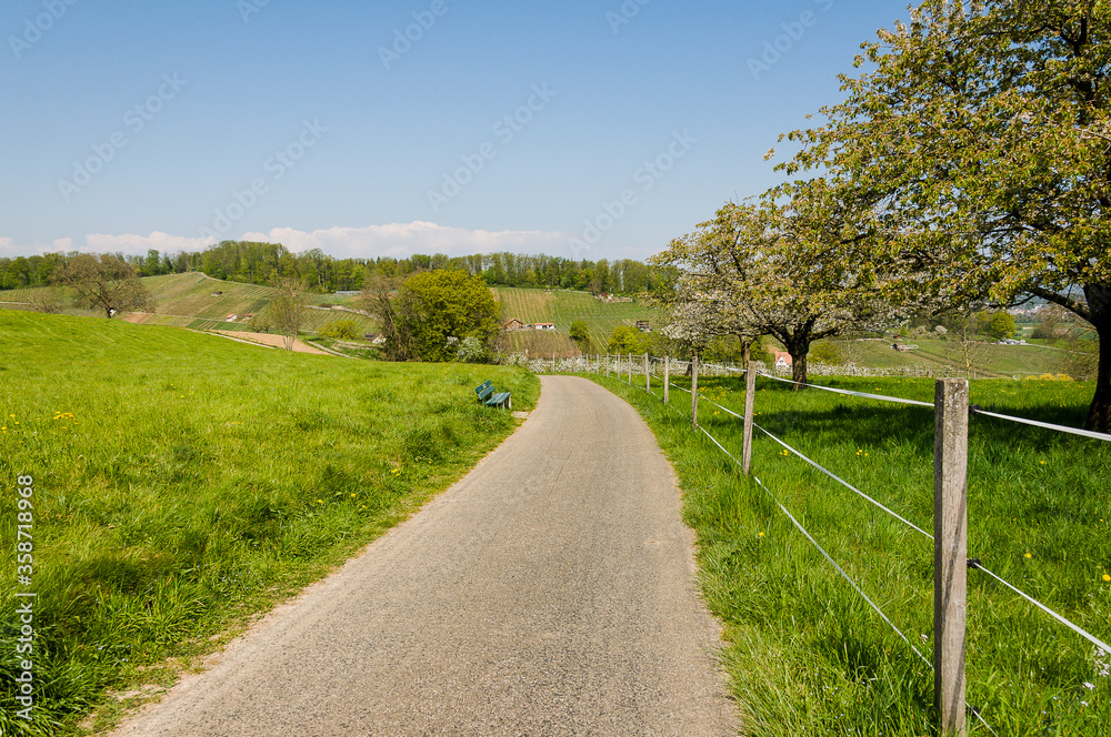 Aesch, Klus, Weinberge, Rebbergweg, Pfeffingen, Ruine, Burg, Birseck, Baselland, Wanderweg, Aussichtspunkt, Landwirtschaft, Frühling, Obstbäume, Apfelblüten, Schweiz, Nordwestschweiz Aesch, Klus, Weinberge, Rebbergweg, Pfeffingen, Ruine, Burg, Birseck, Baselland, Wanderweg, Aussichtspunkt, Landwirtschaft, Frühling, Obstbäume, Apfelblüten, Schweiz, Nordwestschweiz