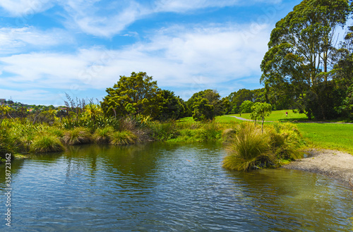 Panoramic View of Waiatarua Reserve, Remuera - Auckland New Zealand; Wetland Area photo