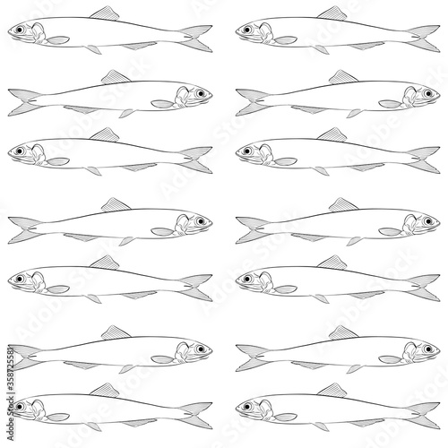 illustration of sardines a school of fish in a row