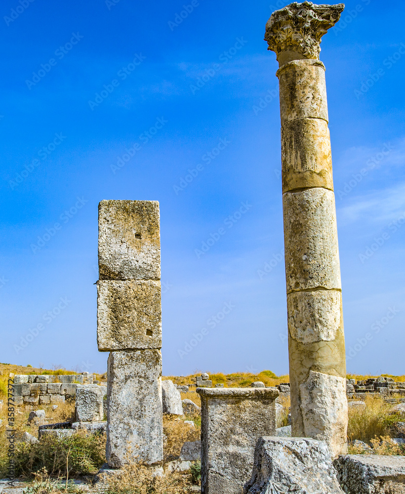 It's Colums of Apamea, Syria