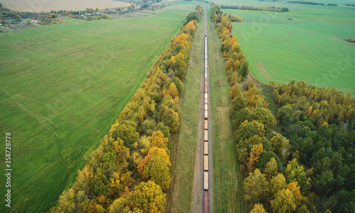 Canvastavla Long train moving to station