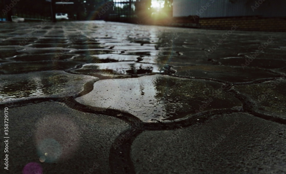 Obraz premium rain on the street