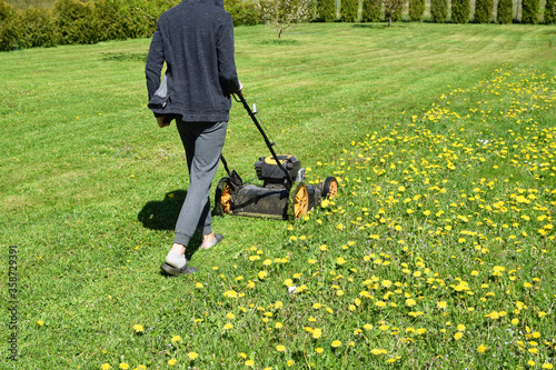 Wallpaper Mural Teen boy mowing lawn grass in yard with lawnmower decorative plants thuja hedge on background in sunny summer day. Dandelions blooming.Children helping in householding and seasonal garden work concept Torontodigital.ca