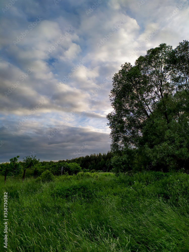 Obraz premium Beautiful sky at sunset. Field with green grass against the sunset sky.