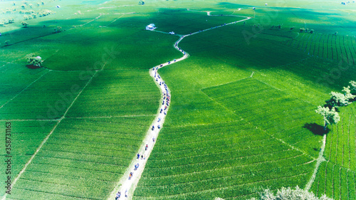 Rice terrace aerial shoot. Image of beautiful terrace rice field in Sumbawa, Indonesia