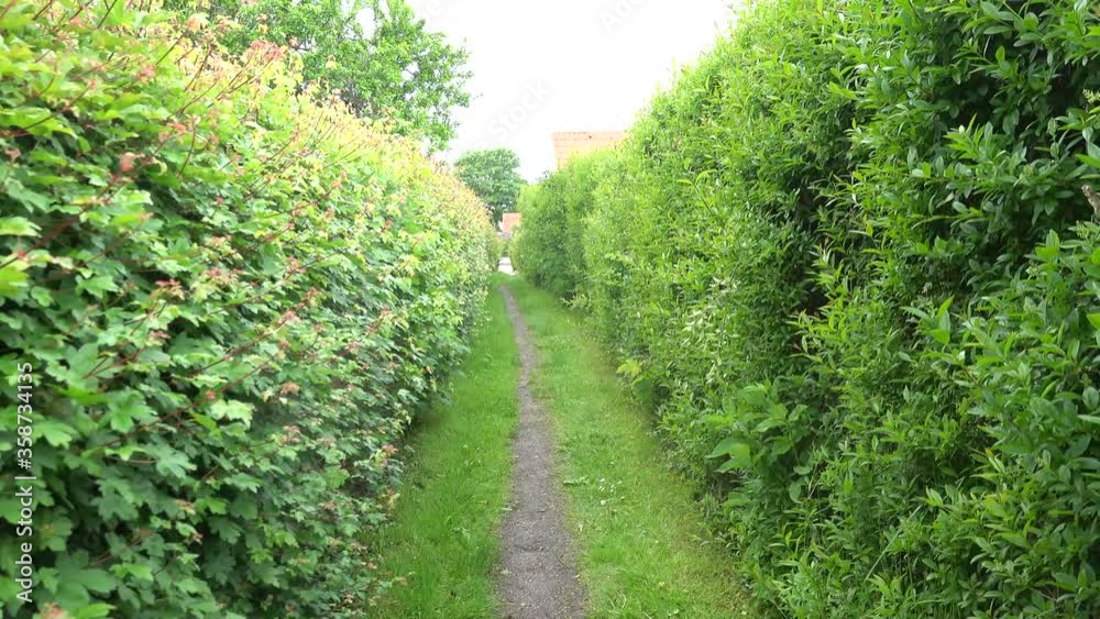 Ebeltoft, Denmark Walking down a green path between bushes Ebeltoft, Denmark Walking down a green path between bushes