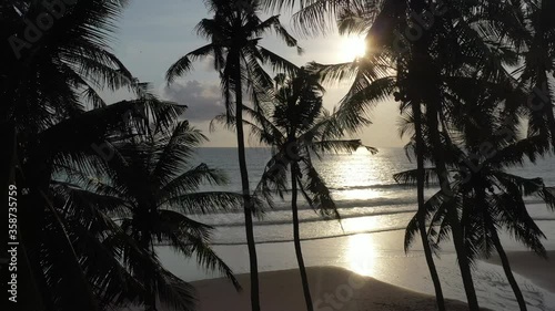 Palm tree silhouette with warm sun reflecting on ocean and black sand beach in Bali Indonesia, aerial zoom out photo