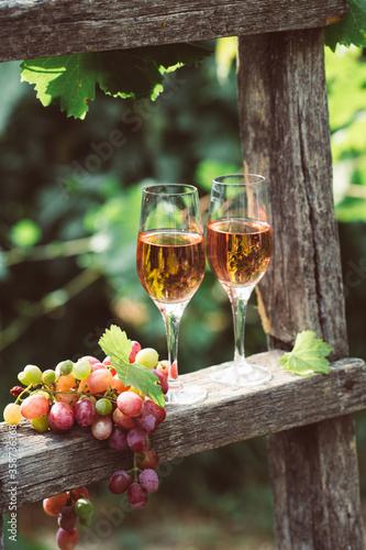 Two glasses of rose wine with bottle outdoors in garden party in vineyard. Wine tasting with red grapes on wooden ladder, harvest time, copy space