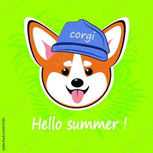 vector illustration  chibi cute funny dog welsh corgi character