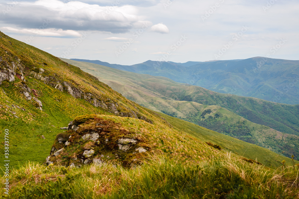 Obraz premium Green valley nature landscape.