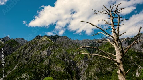 Scenic timelapse footage of mountain chain of north east Italy, in the Natural Park of Julian Pre-Alps (parco naturale delle Prealpi Giulie), with a beautiful dead tree in foreground.