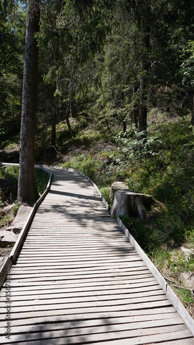 the footbridge at the beautiful Lake Mummelsee in the Black Forest in the month of May  Germany