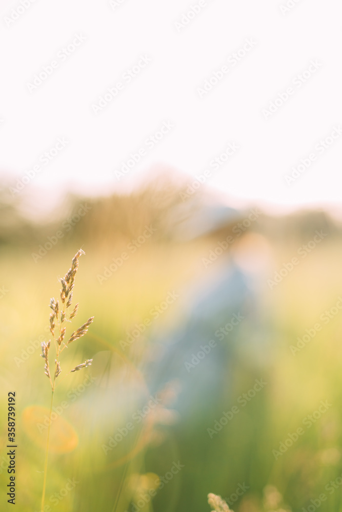 Blurred Grass closeup on the field. Sunny background blurred glade. Spring mood. Positive attitude